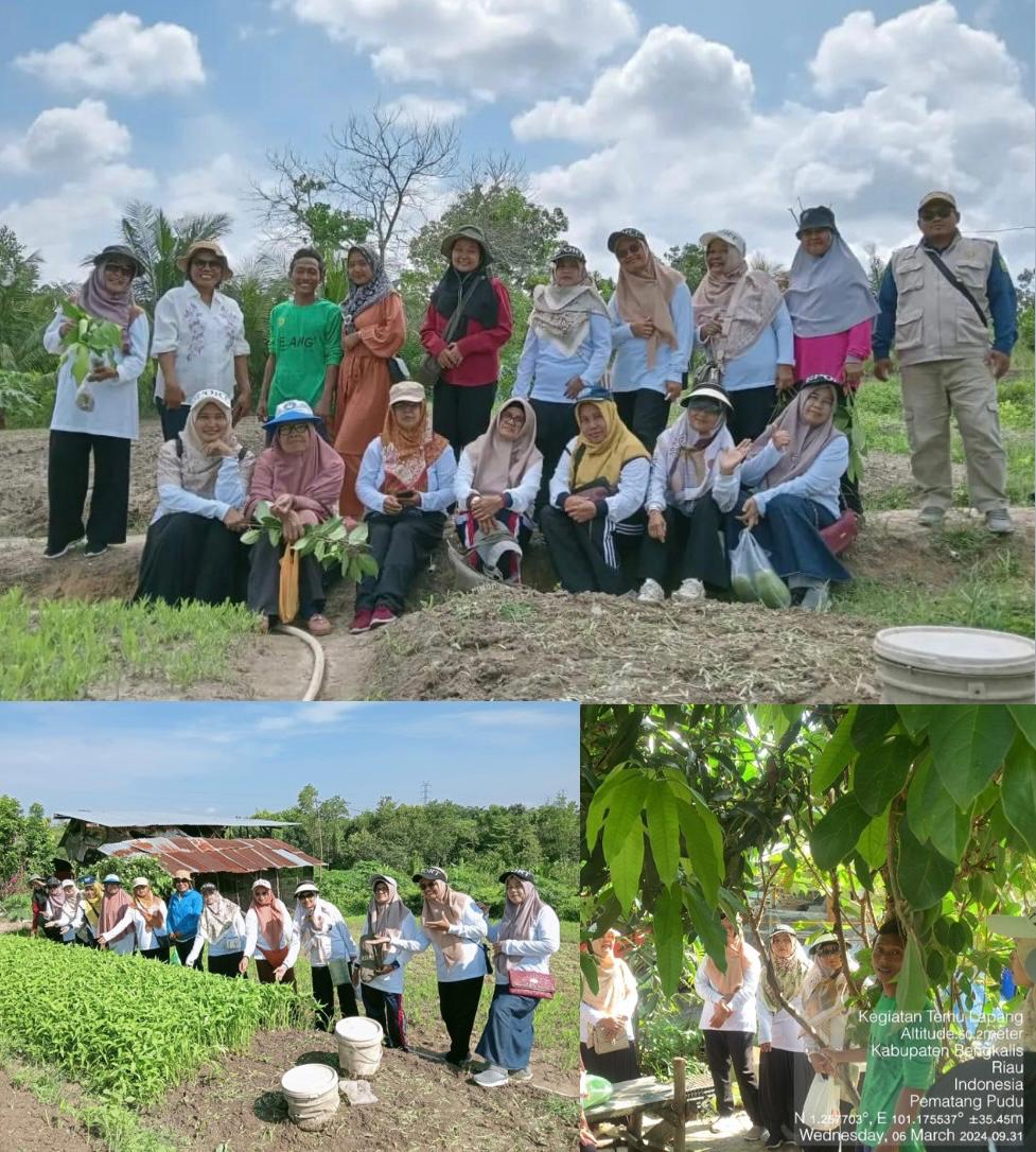 Temu Lapang Petani Sayuran Di Kecamatan Mandau