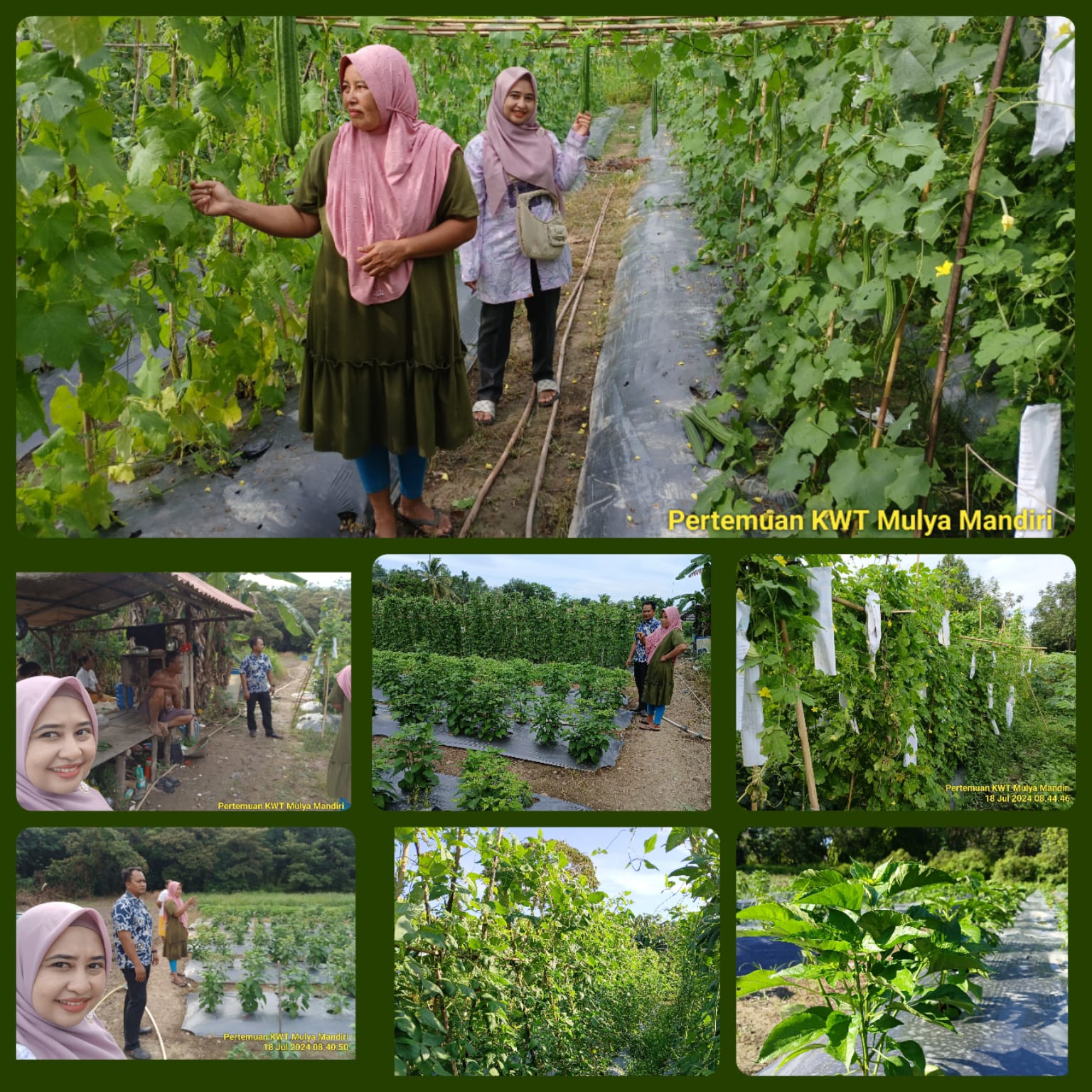 Monitoring Penyuluh Pertanian ke kelompok wanita tani