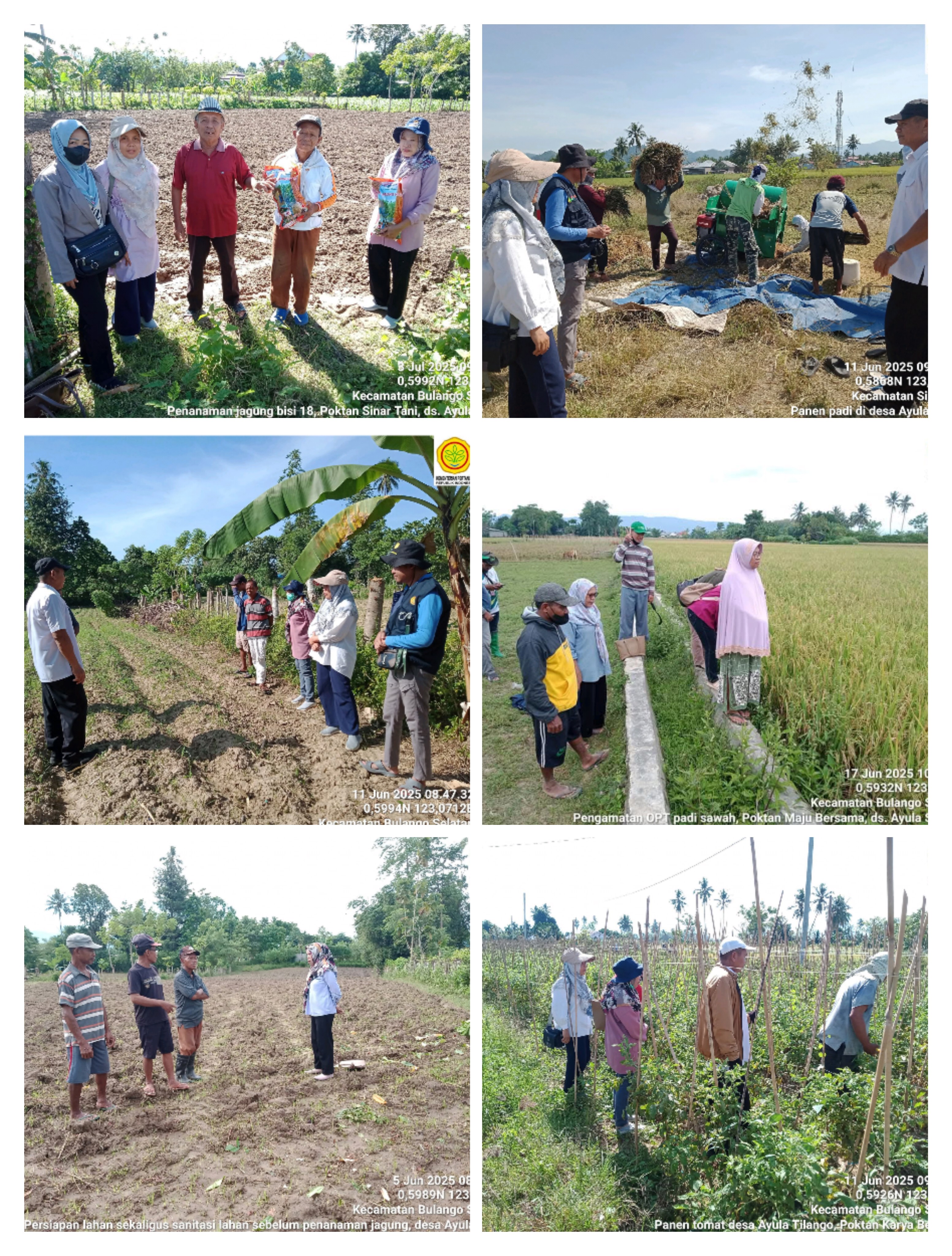 Pembuatan Dolomit Berbahan Organik Oleh Mahasiswa/i KKN, PPL dan Petani