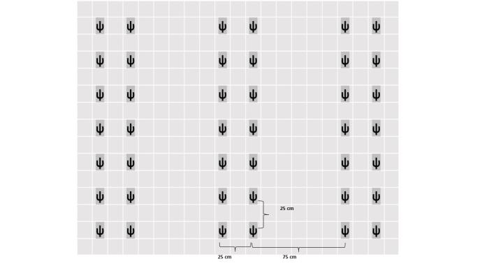 BOBOT BIJI JAGUNG PERTIWI 3  PADA PENANAMAN DENGAN SISTEM TANAM JAJAR LEGOWO DAN PEMUPUKAN N
