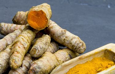 PEMANFAATAN PEKARANGAN  DENGAN MENANAM KUNYIT