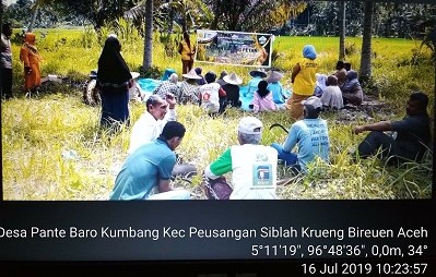 Sekolah Lapang  Petani dalam Kegiatan Fasilitasi IPDMIP D.I Crang Blang Paloh Kec. Peusangan Siblah Krueng Kabupaten Bireuen