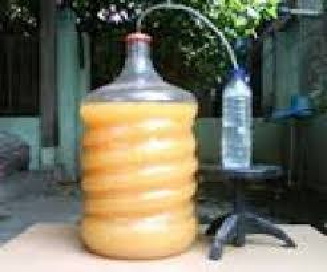 PEMBUATAN MOL BONGGOL PISANG