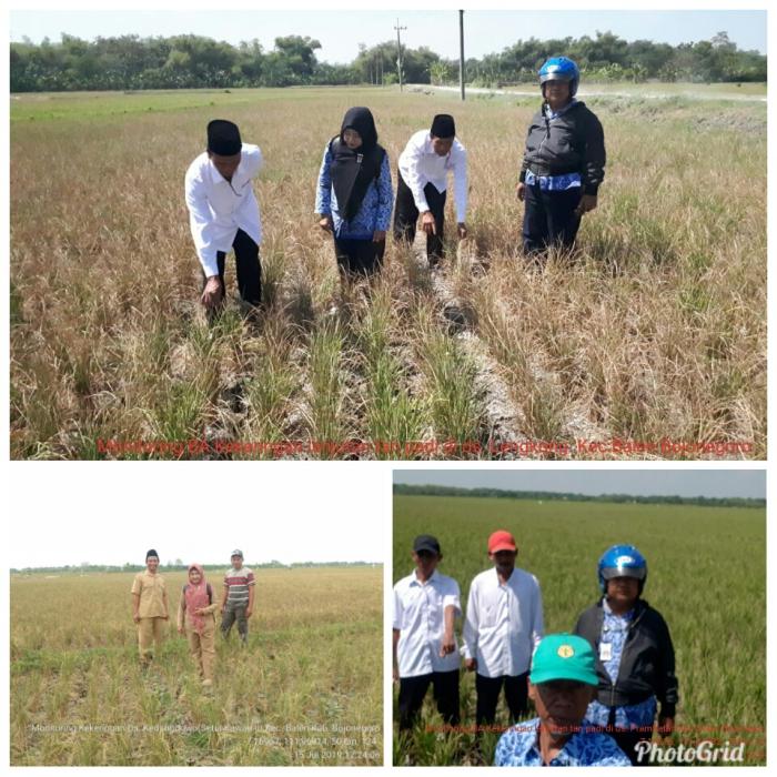 Bantuan Premi Bagi Petani Peserta Autp