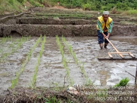 Sistem Jarwo dengan Alat sederhana
