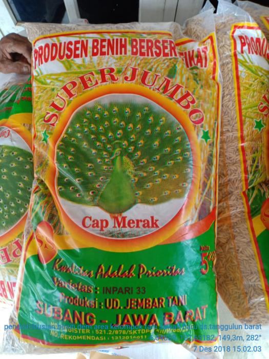 BENIH  VARIETAS UNGGUL PADI SAWAH