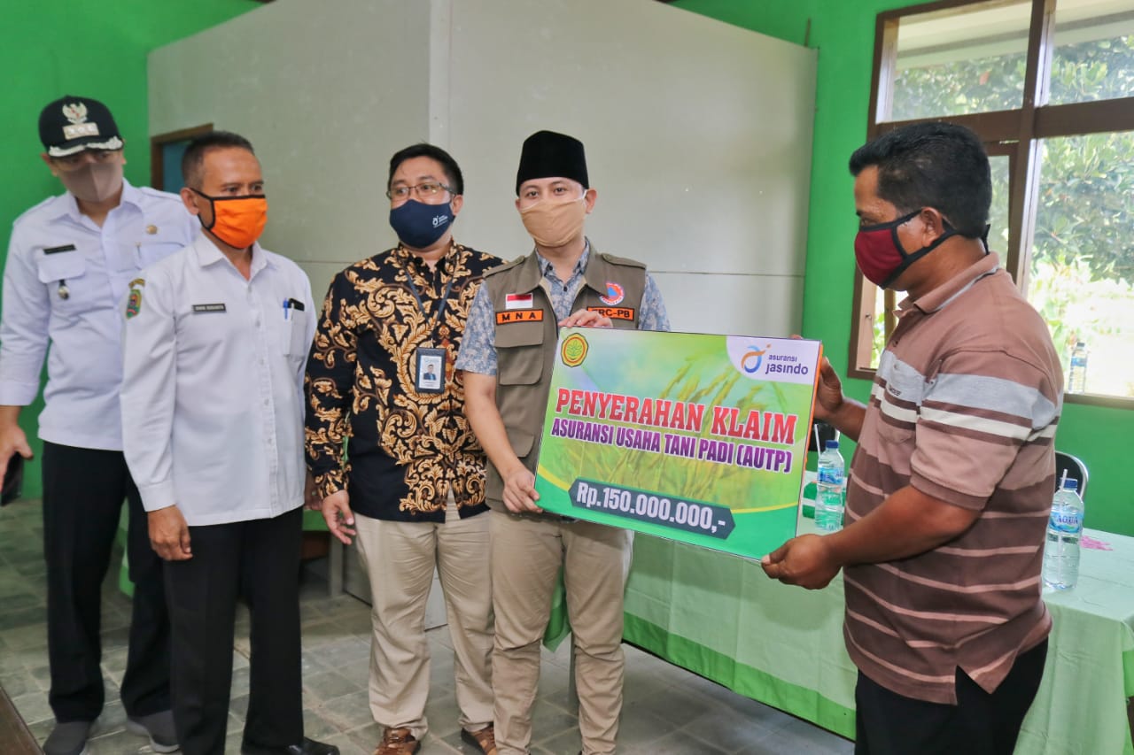 MERAUP UNTUNG BISNIS HIJAUAN PAKAN TERNAK 	