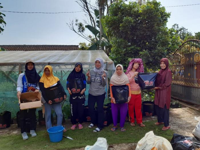 Pengembangan Tanam Jahe Merah