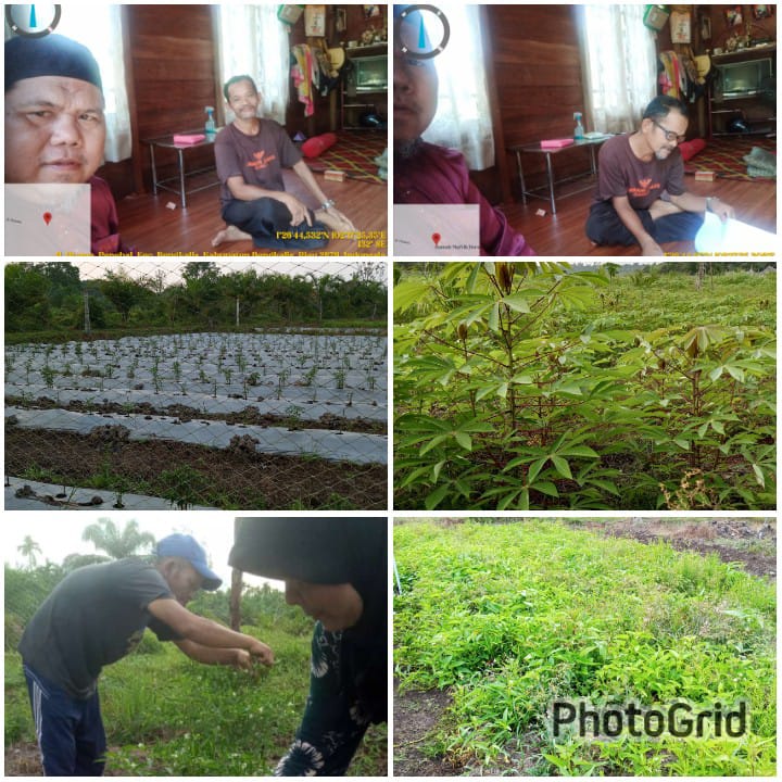 PEMERINTAHAN DESA PENEBAL KECAMATAN BENGKALIS KABUPATEN BENGKALIS, SALURKAN BANTUAN MELALUI PROGRAM KETAHANAN PANGAN DESA KE KELOMPOK TANI BERKAH