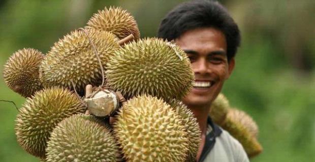 Penguatan Kelompok Tani Menentukan Keberhasilan Usaha