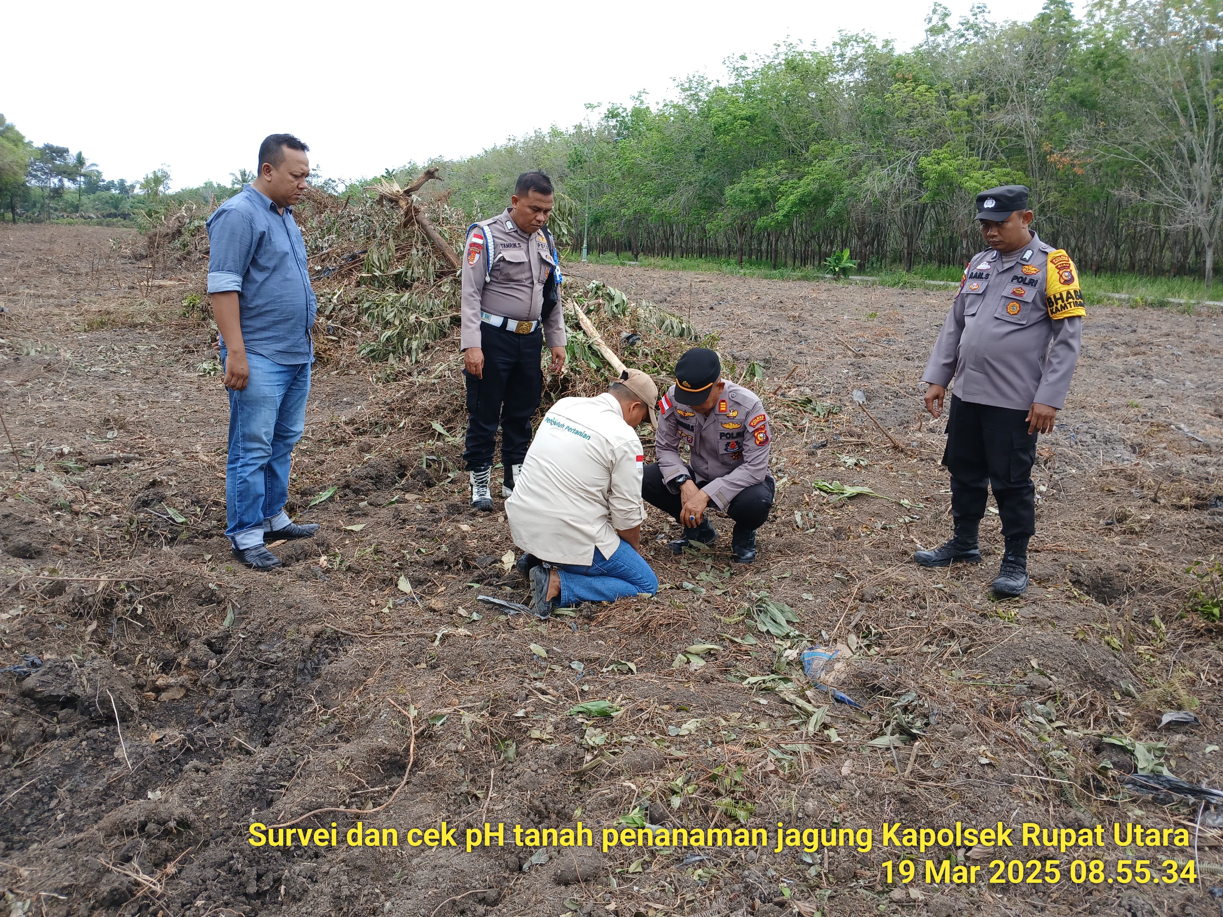 Mendampingi Kapolsek Rupat Utara melakukan pengecekan ph tanah di Lokasi yang akan dilakukan penanaman Jagung 