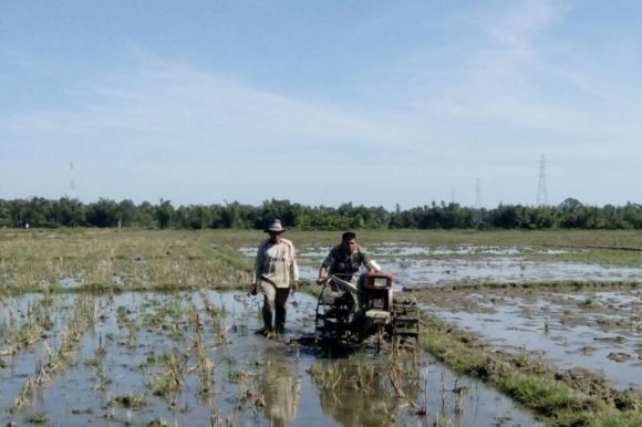 PENGOLAHAN LAHAN SAWAH  DENGAN SEMPURNA