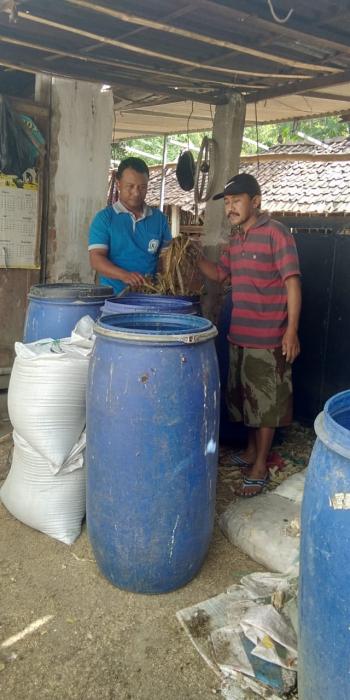 Fermentasi Pakan Ternak