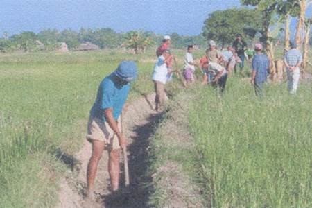 Penyiapan Lahan untuk produksi benih