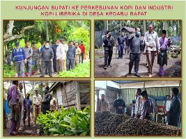 KUNJUNGAN BUPATI KE PERKEBUNAN KOPI DAN INDUSTRI KOPI LIBERIKA DI DESA KEDABU RAPAT