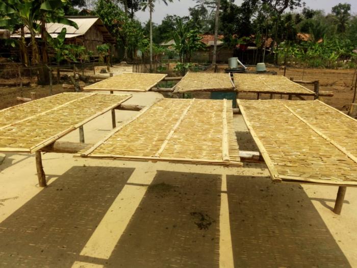 " KRUPUK " PELUANG USAHA SAMPINGAN PETANI KARET DESA JAYA SAKTI