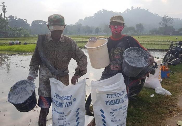 MENGENAL DEM AREA BUDIDAYA TANAMAN SEHAT DALAM PENINGKATAN PRODUKSI PADI