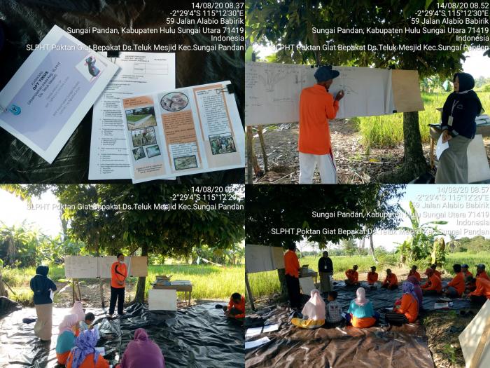 SL-PHT "OPT Tikus dan Pengendaliannya" Poktan Giat Bepakat Ds. Teluk Mesjid Kec. Sungai Pandan