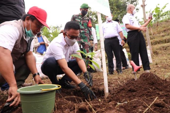 20 Hektare Lahan di Bantaeng Disulap Jadi Kawasan Kampung Buah
