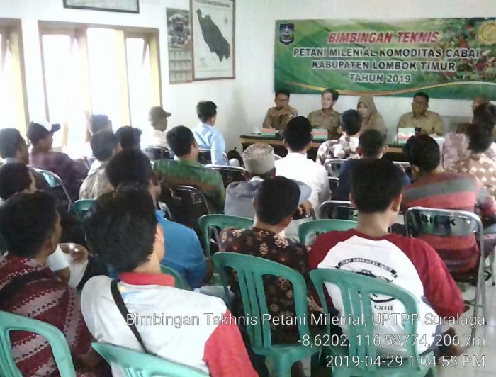 BIMBINGAN TEKNIS PETANI MILENIAL KOMODITAS TANAMAN CABAI KABUPATEN LOMBOK TIMUR TAHUN 2019