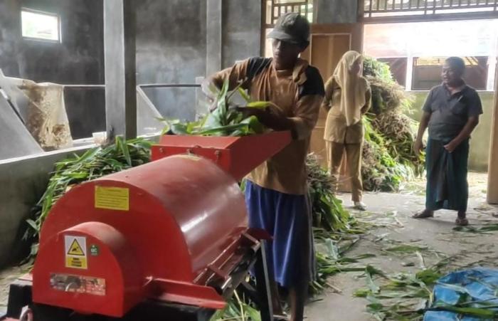 PEMBUATAN PAKAN SAPI POTONG 