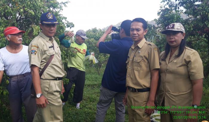 PASCA PANEN BELIMBING DI WILAYAH BINAAN KECAMATAN PONGGOK KABUPATEN BLITAR