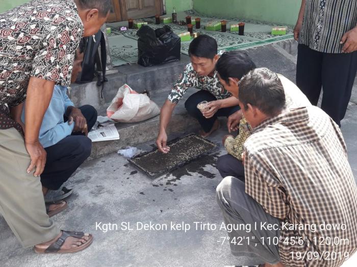 PESEMAIAN MENGGUNAKAN DAPOK