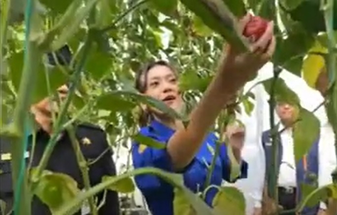 TERAPKAN SMART FARMING HINGGA KE PELOSOK DESA