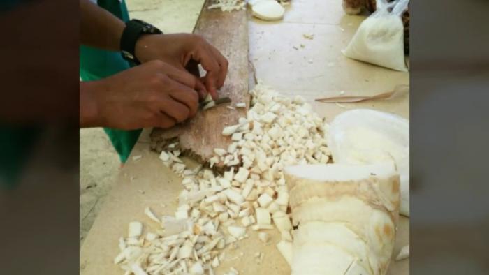 PEMBUATAN MOL REBUNG BAMBU