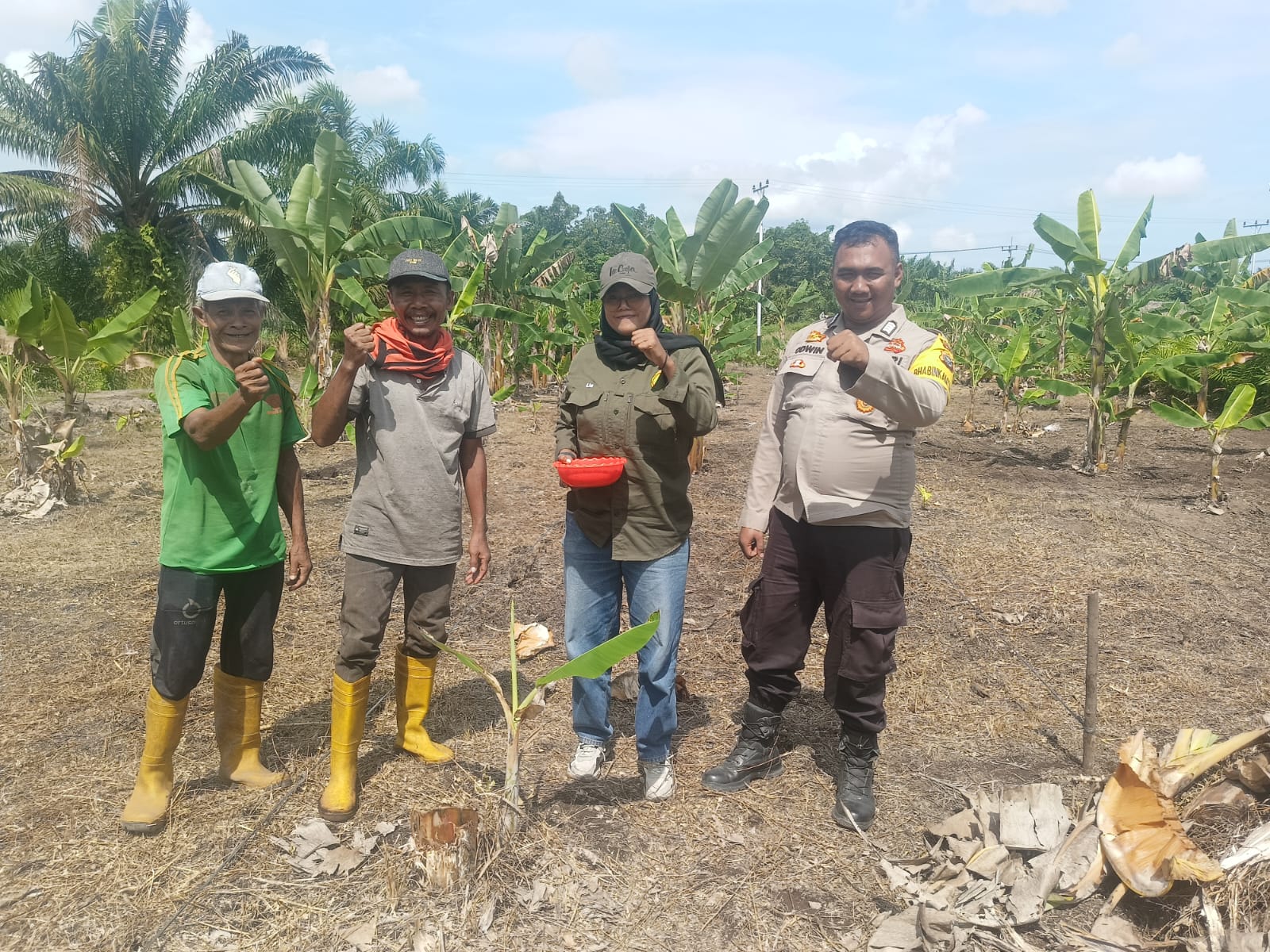Penanaman Jagung Serentak Kecamatan Rupat Bersama Bhabinkamtibmas Untuk Mendukung Swasembada Pangan