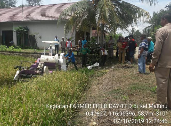 TEKNIK PENANGANAN PASCA PANEN TANAMAN PADI 