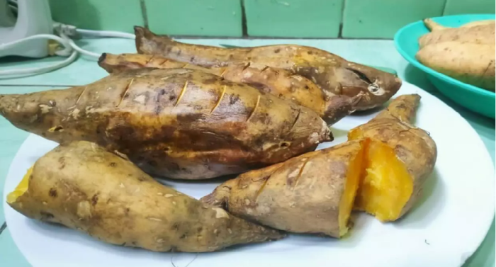 Perlunya mengenal berbagai varietas sorgum, agar mencapai tujuan