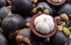 Penguatan Diseminasi dan Publikasi Informasi Penyuluhan Pertanian: Strategi Baru dalam Meningkatkan Citra dan Kinerja Penyuluh