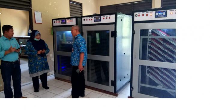 PEMBIBITAN AYAM KUB DI BPTP JAWA TENGAH