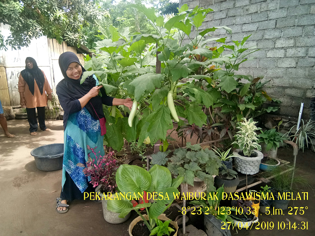 BERKEBUN SAYUR DI TENGAH KOTA