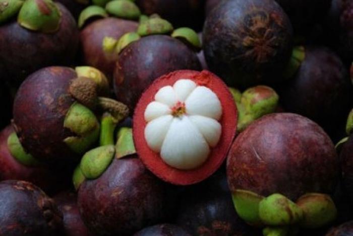  Menjadikan hargaÃ¢â‚¬Â ManisÃ¢â‚¬Â dari Manggis