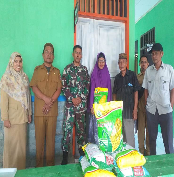 Penyaluran Benih Jagung di BPP Kecamatan Botupingge