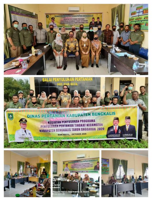 Kegiatan Penyusunan Programa Tingkat Kecamatan Kabupaten Bengkalis Tahun Anggaran 2020 Di UPT BPP Siak Kecil