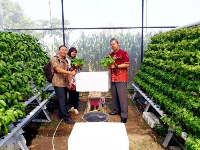 Jenis-Jenis Sayuran Hidroponik BPP Pare