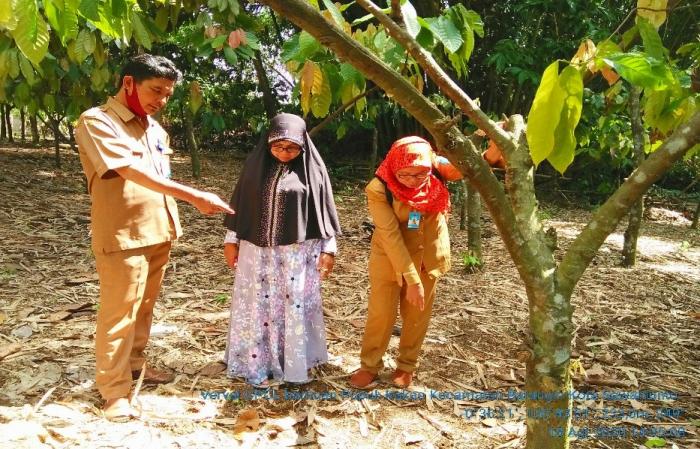 Metode Penyuluhan Pertanian  Kunjungan Rumah Atau Tempat Usaha