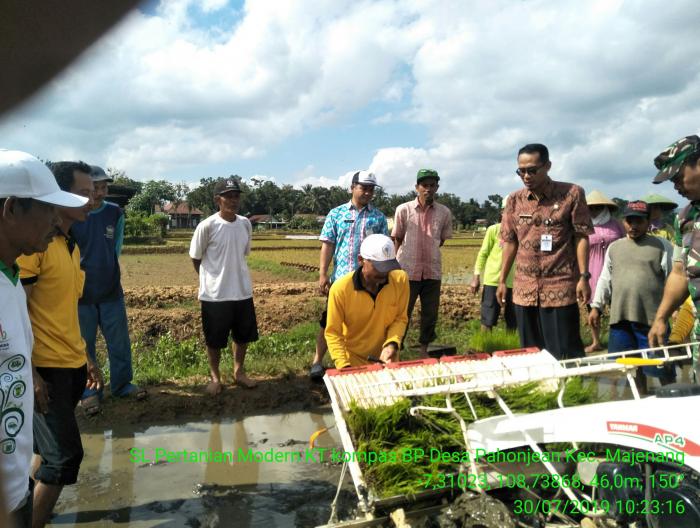 PENANAMAN PADI DENGAN RICE TRANSPLANTER  DI KECAMATAN MAJENANG MULAI MEMBUDAYA