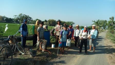 GIAT GERDAL DI DEM AREA BUDIDAYA TANAMAN SEHAT