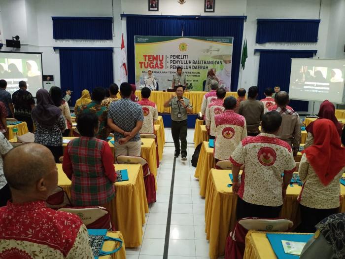 Budidaya  Bawang Merah  Dalam Polibag