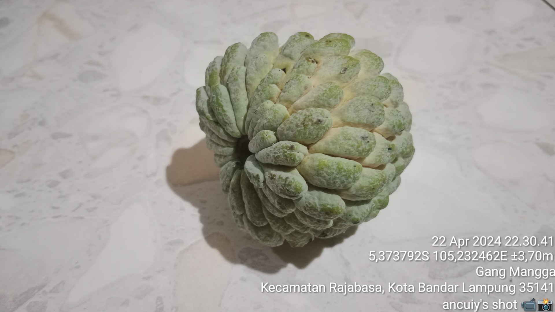 Manfaat Buah Srikaya