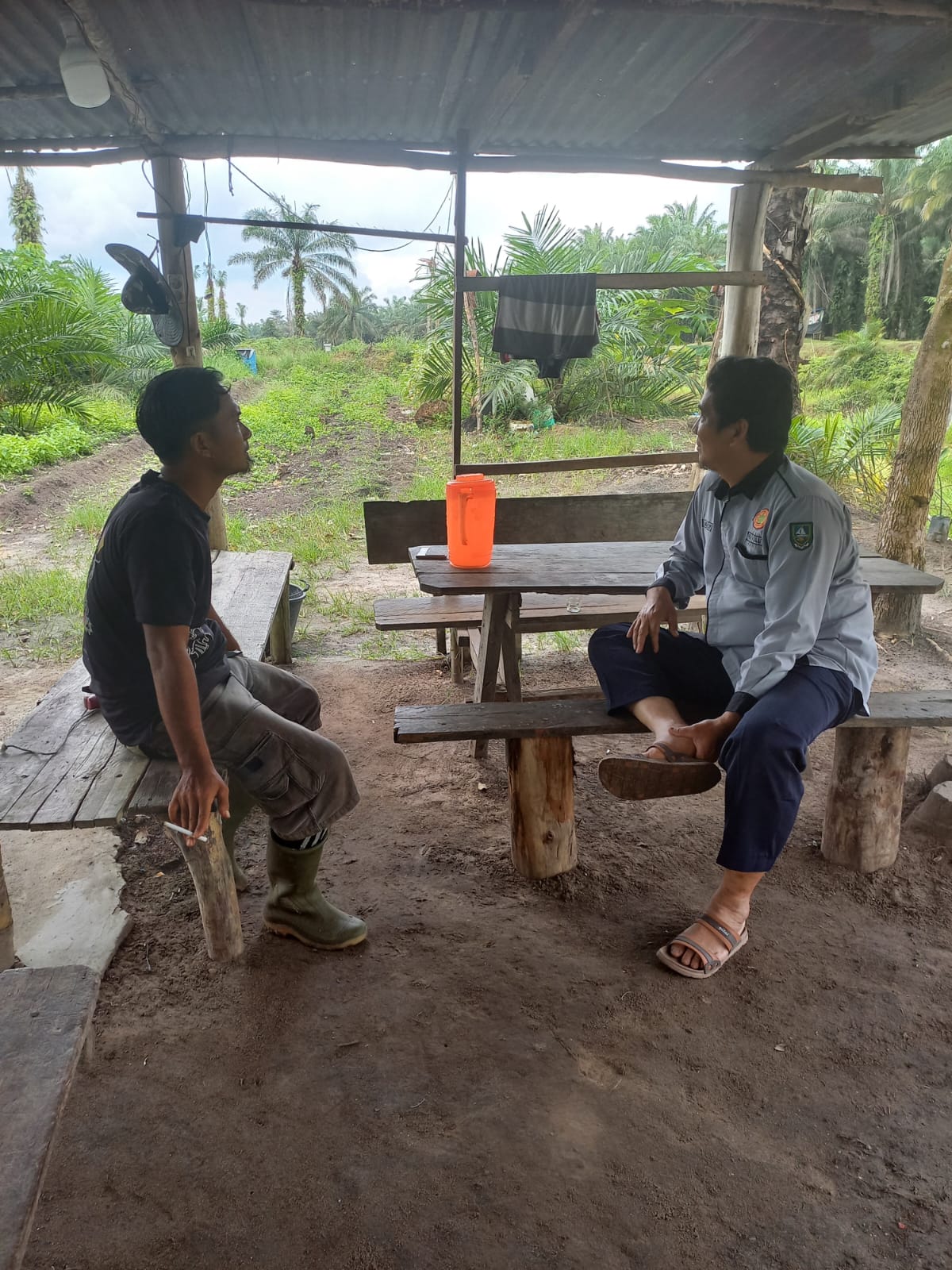 INTEGRASI PERKEBUNAN KELAPA SAWIT DAN PERIKANAN POKTAN SEKAPUR SIRIH DESA BUMBUNG KECAMATAN BATHIN SOLAPAN