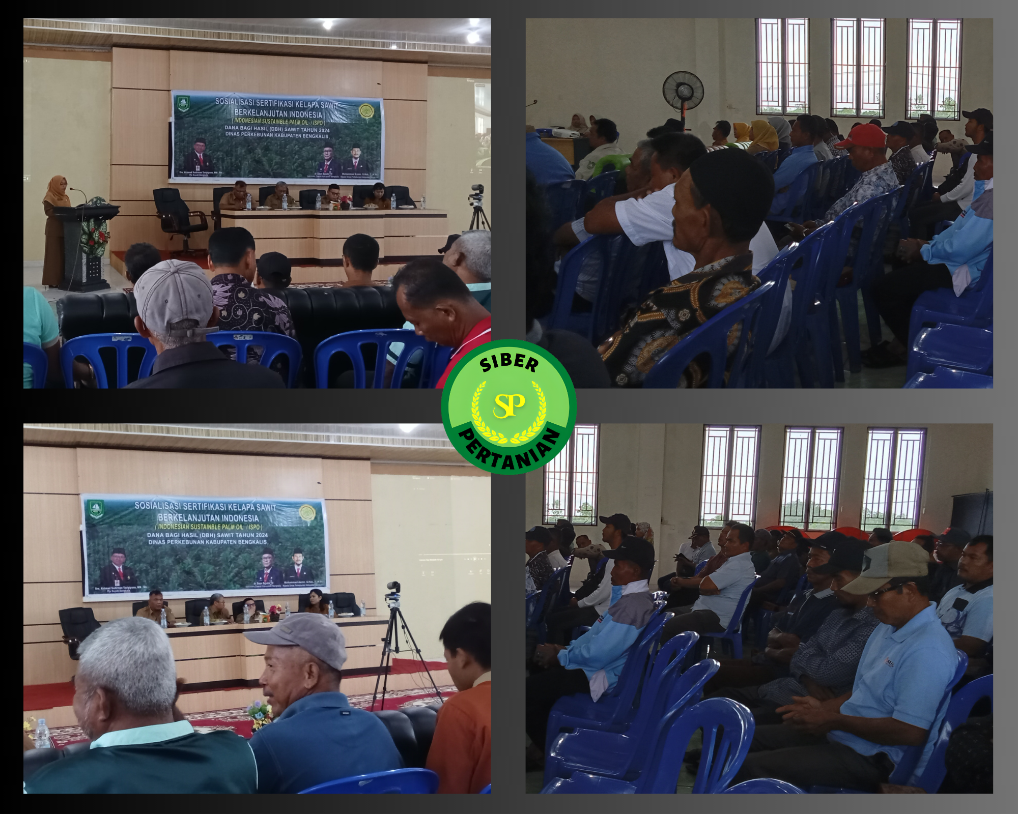 Sosialisasi Sertifikasi Kelapa Sawit