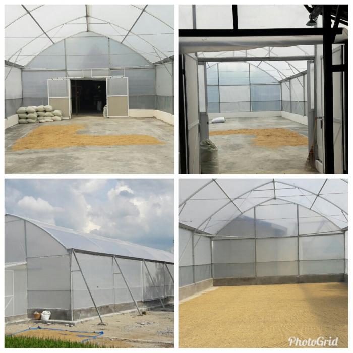 PENGERINGAN GABAH DENGAN METODE DRYER ULTRAVIOLET (UV DRYER) DI KABUPATEN BOJONEGORO