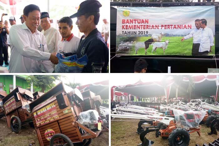 Bantuan Ayam, Membangun Inspirasi Kelompok Santri Tani Milenial