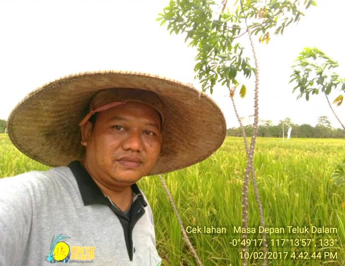 Dampak Residu terhadap Penggunaan Pestisida Pada tanaman pangan.