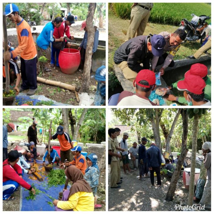 PEMBUATAN PESTISIDA NABATI DAUN MIMBA